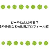 ビーやねん(ベトナム)は何者？年齢や身長などwiki風プロフ！