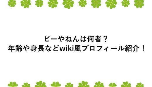ビーやねん(ベトナム)は何者？年齢や身長などwiki風プロフ！