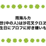 雨海ルカの前世(中の人)は沙花叉クロヱ？誕生日にプロフに好き嫌いも！