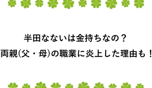 半田なないは金持ちなの？両親(父・母)の職業に炎上した理由も！