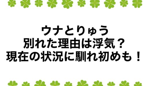 ウナとりゅうが別れた理由は浮気？現在の状況に馴れ初めも！