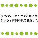 ラブパワーキングダムせいなに子供がいる？体調不良で脱落したの？
