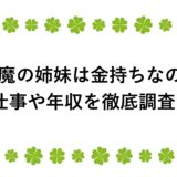 悪魔の姉妹は金持ちなの？仕事や年収を徹底調査！