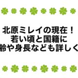 北原ミレイの現在2025！若い頃と国籍に年齢や身長なども詳しく！