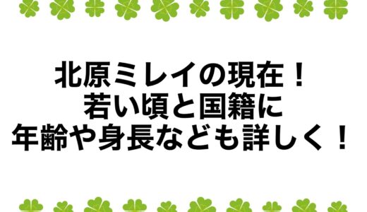 北原ミレイの現在2025！若い頃と国籍に年齢や身長なども詳しく！