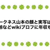 ダークネス山本の顔と実写は？年齢などwikiプロフに年収も！