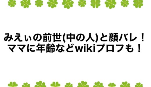 みえぃの前世(中の人)と顔バレ！ママに年齢などwikiプロフも！
