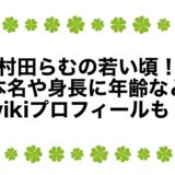 村田らむの若い頃！本名や身長に年齢などwikiプロフィールも！