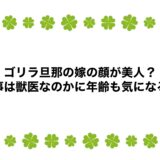 ゴリラ旦那の嫁の顔が美人？仕事は獣医なのかに年齢も気になる！