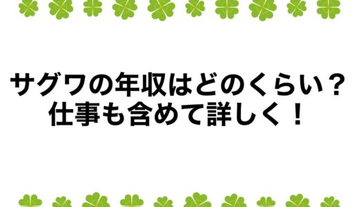 サグワの年収はどのくらい？仕事も含めて詳しく！