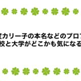 印度カリー子の本名などのプロフ！高校と大学がどこかも気になる！
