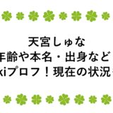 天宮しゅなの年齢や本名・出身などwikiプロフ！現在の状況も！