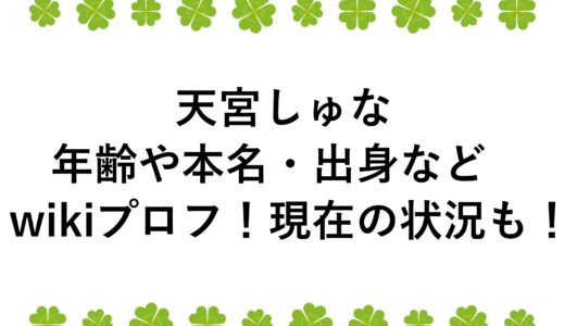 天宮しゅなの年齢や本名・出身などwikiプロフ！現在の状況も！