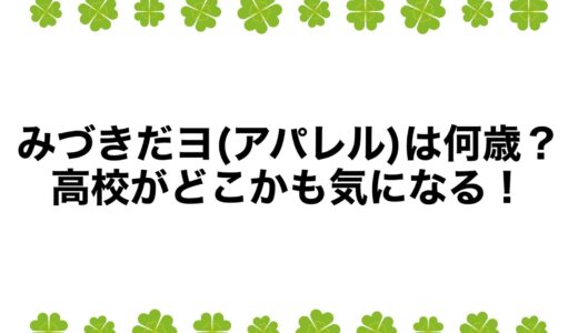 みづきだヨ(アパレル)は何歳？高校がどこかも気になる！