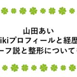 山田あいのwikiプロフィールと経歴！ハーフ説と整形についても！