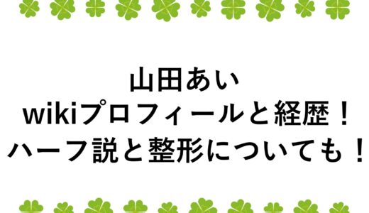 山田あいのwikiプロフィールと経歴！ハーフ説と整形についても！